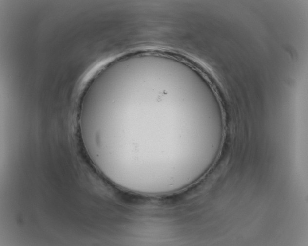 X0000114521359200910190941