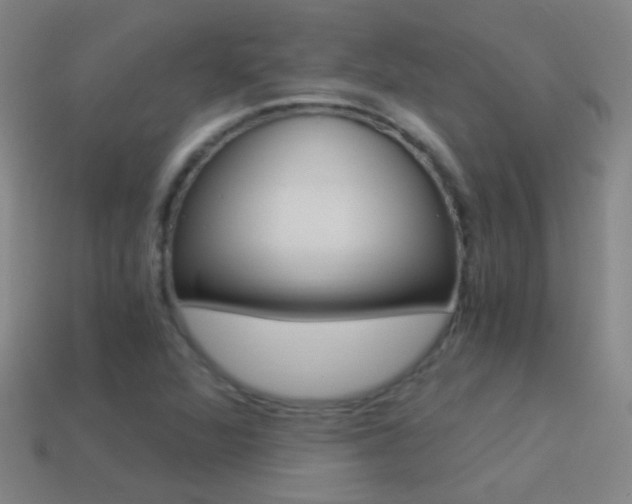 X0000114521360200910190941