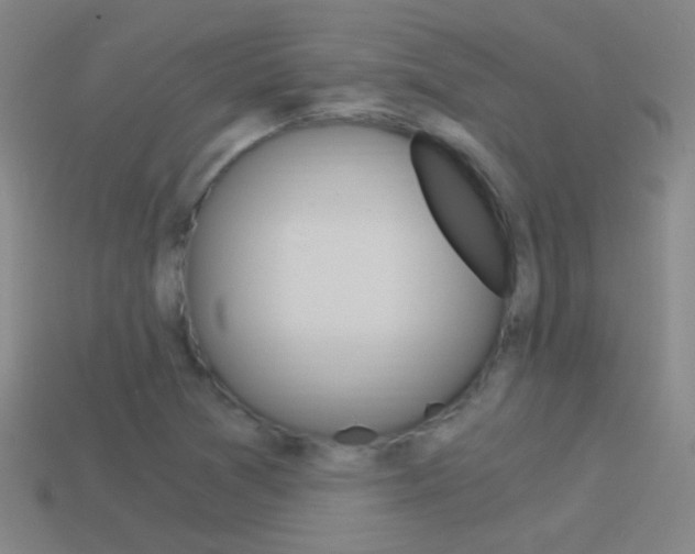 X0000114521361200910190941