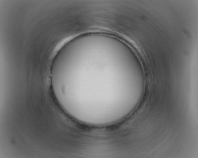 X0000114521363200910190941