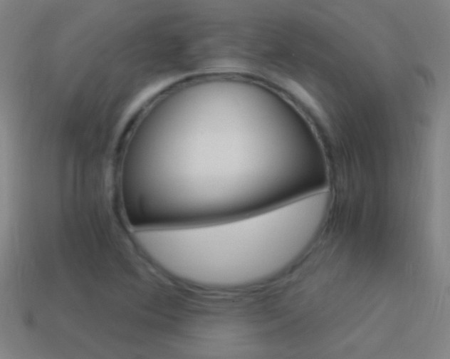 X0000114521364200910190941