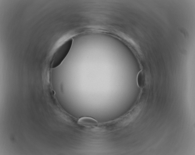 X0000114521365200910190941
