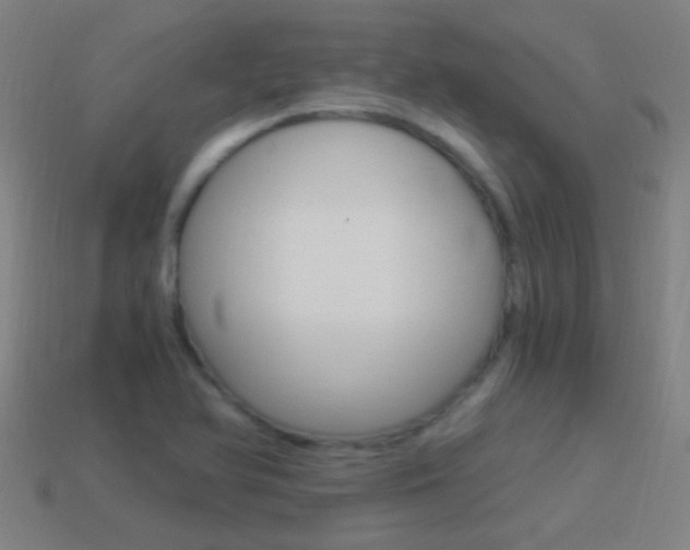 X0000114521366200910190941