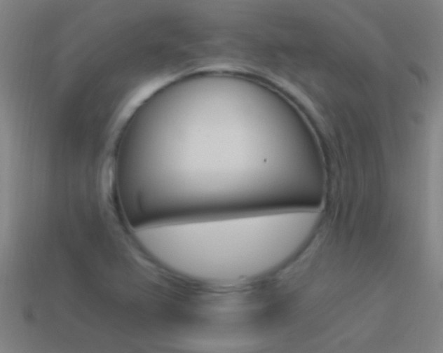 X0000114521367200910190941