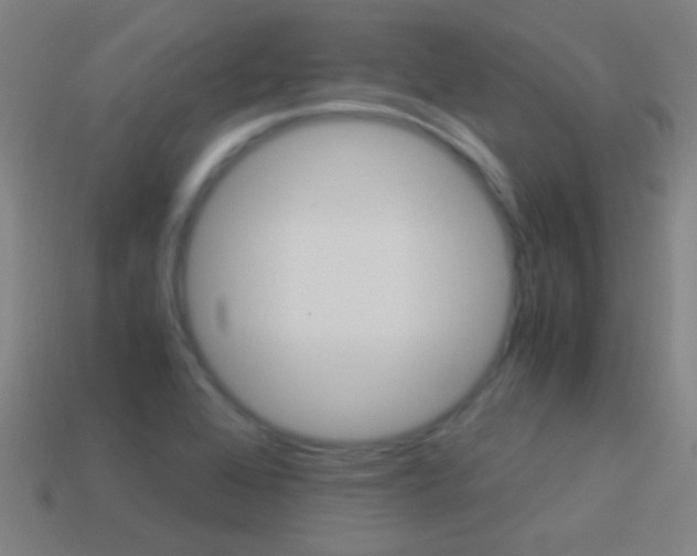 X0000114521368200910190941