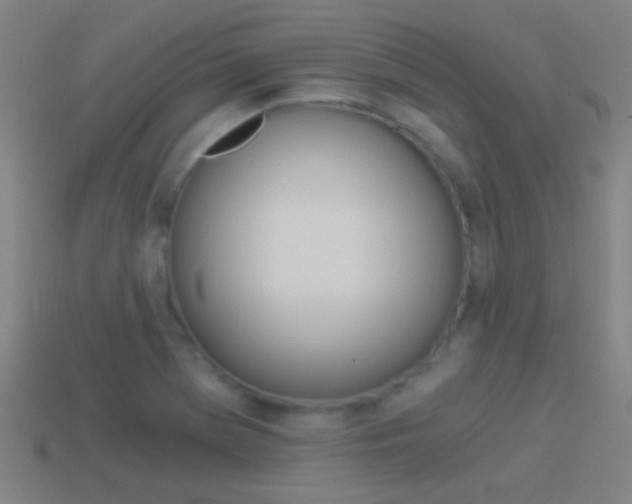 X0000114521369200910190941