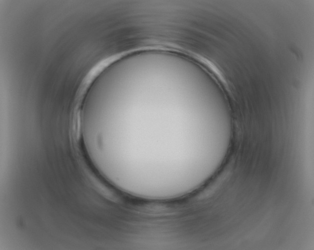 X0000114521371200910190941