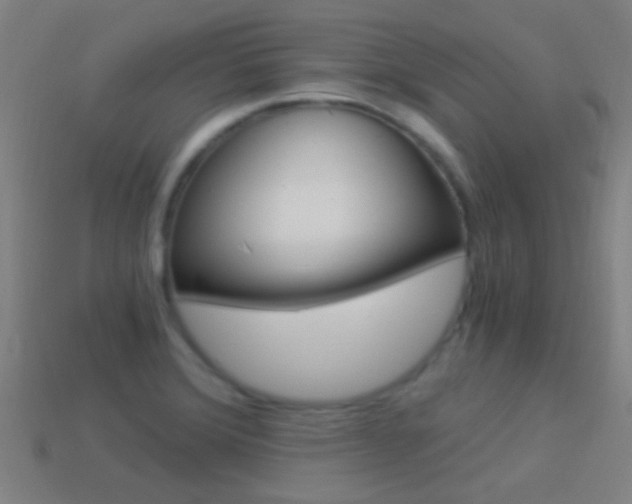 X0000114521372200910190941