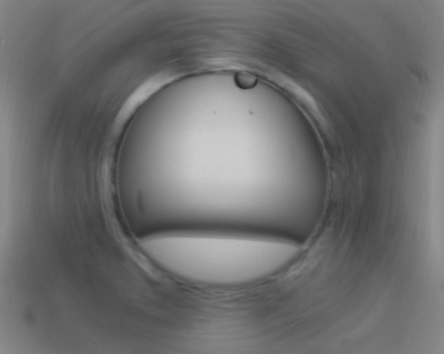 X0000114521373200910190941