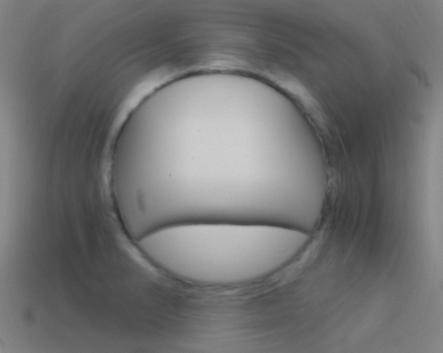 X0000114521374200910190941