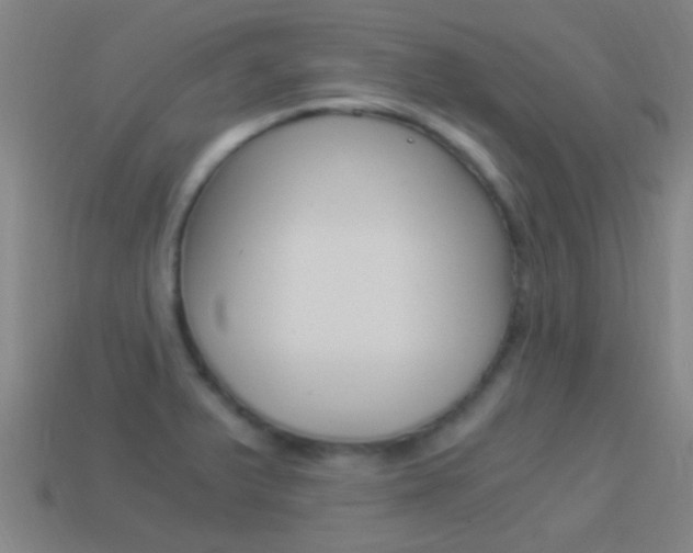 X0000114521375200910190941