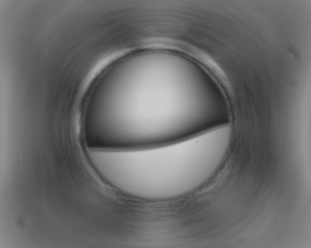 X0000114521376200910190941