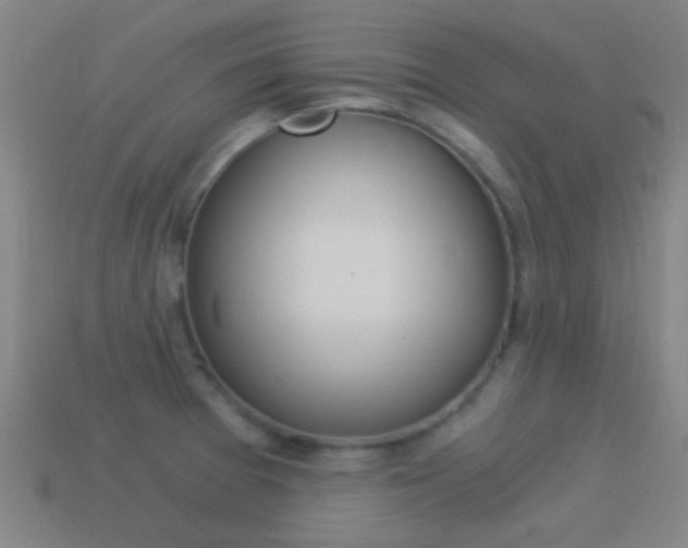 X0000114521377200910190941