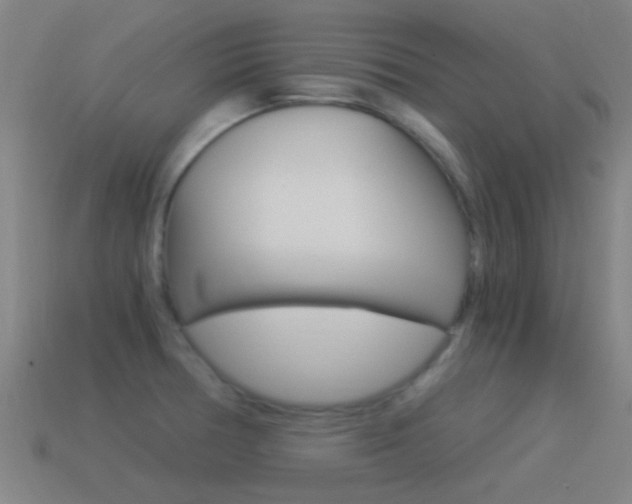 X0000114521378200910190941