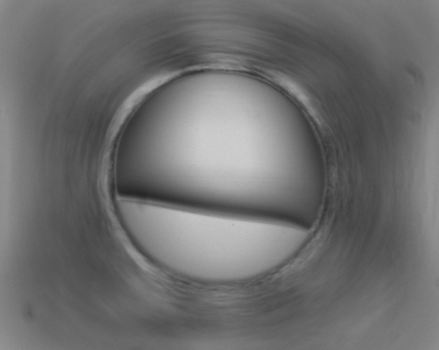 X0000114521379200910190941