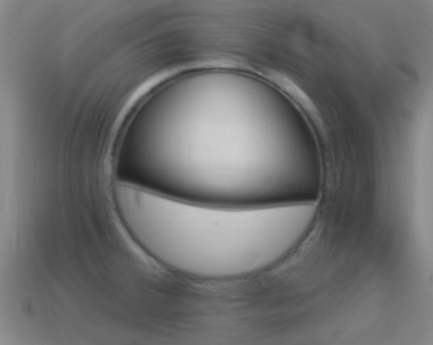 X0000114521380200910190941