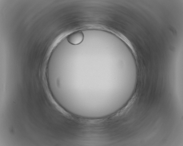 X0000114521381200910190941