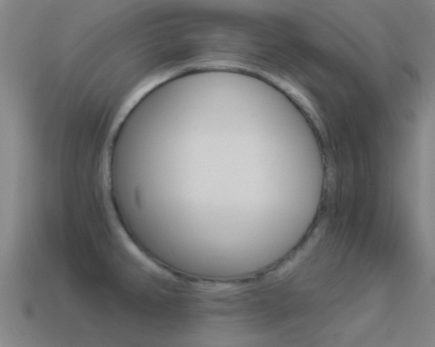 X0000114521382200910190941