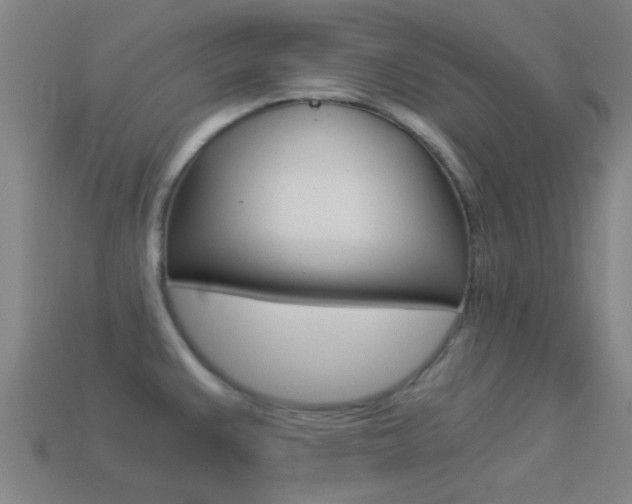 X0000114521383200910190941