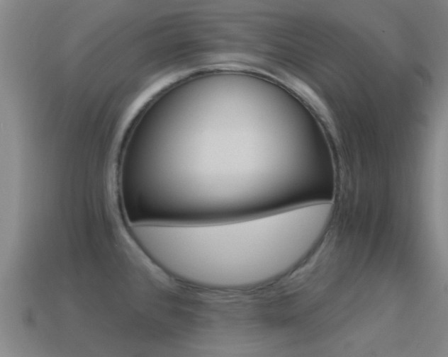 X0000114521384200910190940
