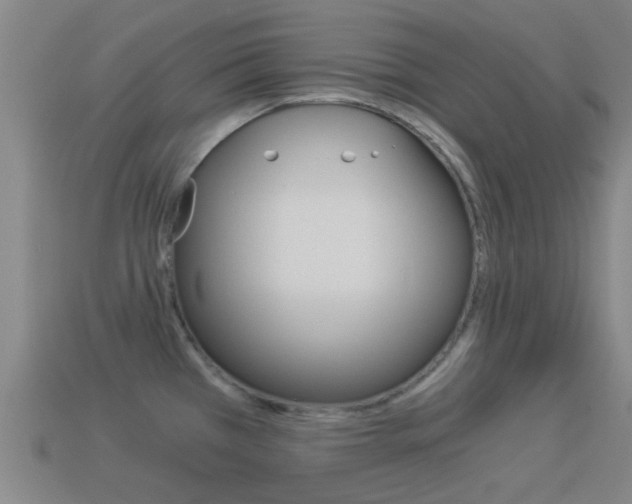 X0000114521385200910190940