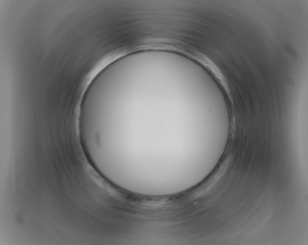 X0000114521386200910190940