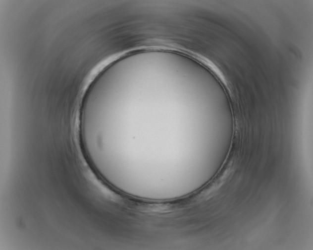 X0000114521387200910190940