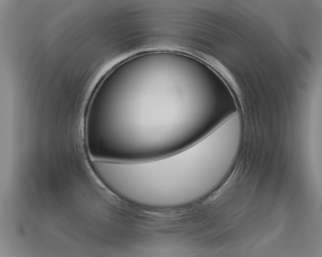 X0000114521388200910190940