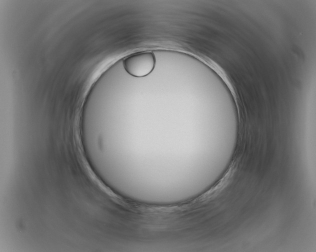 X0000114521389200910190940