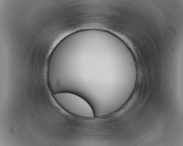X0000114521390200910190940