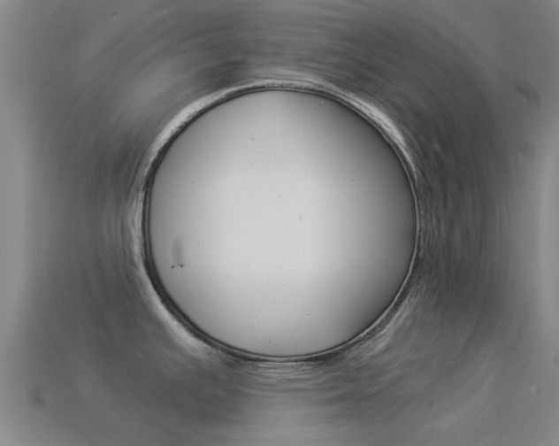 X0000114521391200910190940