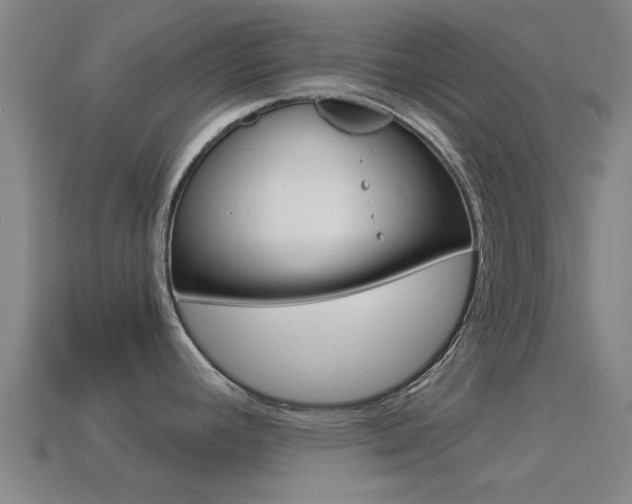 X0000114521392200910190940