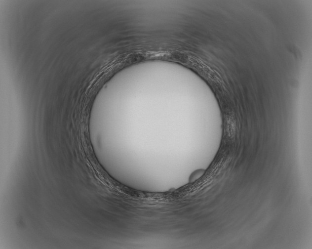 X0000114521393200910190940