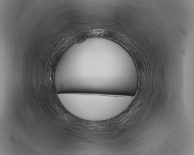 X0000114521394200910190940