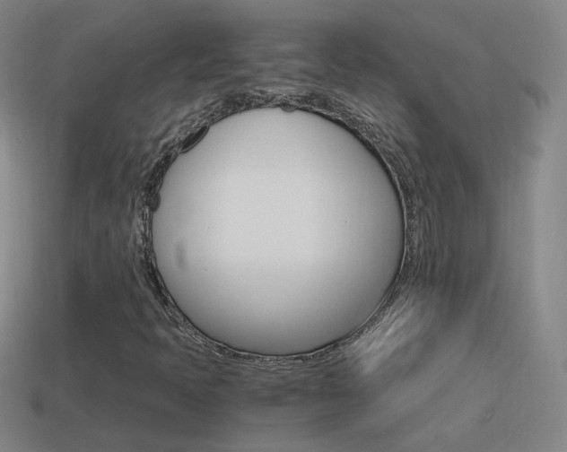X0000114521397200910190940
