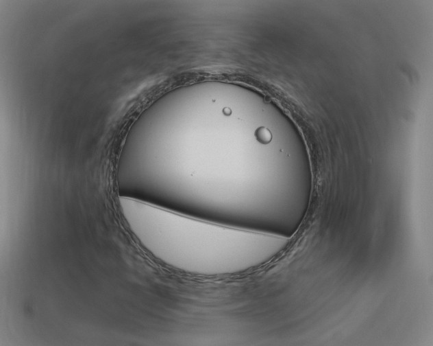 X0000114521398200910190940