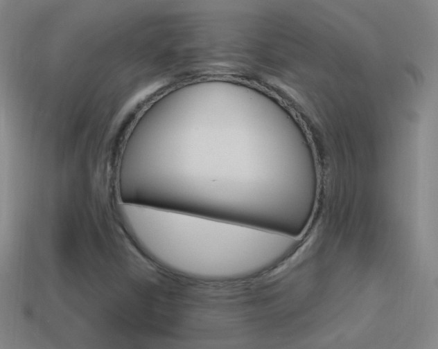 X0000114521402200910190940
