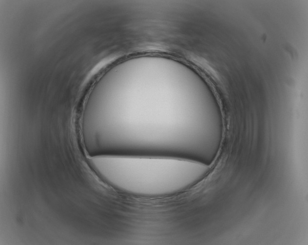 X0000114521404200910190940