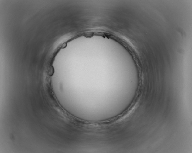 X0000114521405200910190940