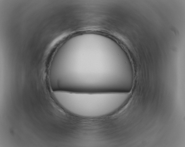 X0000114521406200910190940