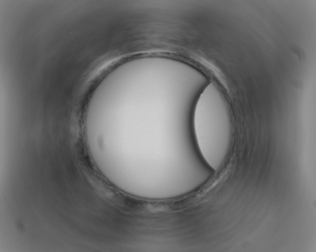 X0000114521407200910190940