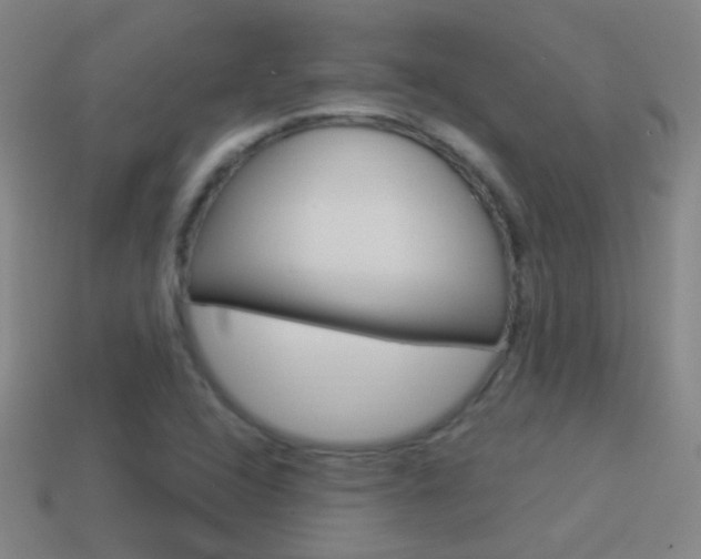 X0000114521408200910190940