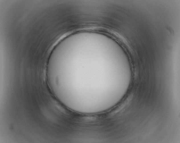 X0000114521409200910190940