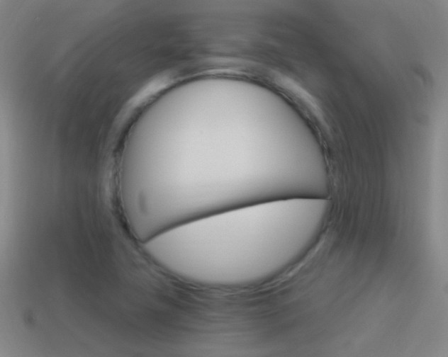 X0000114521411200910190940