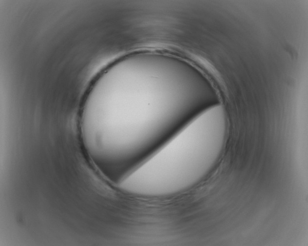 X0000114521412200910190940