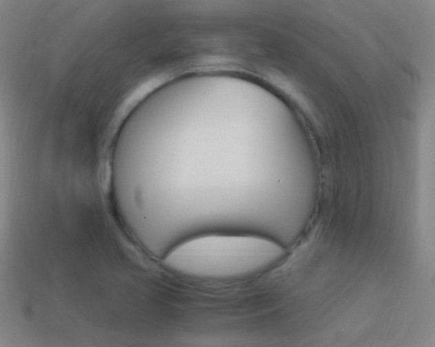 X0000114521413200910190940