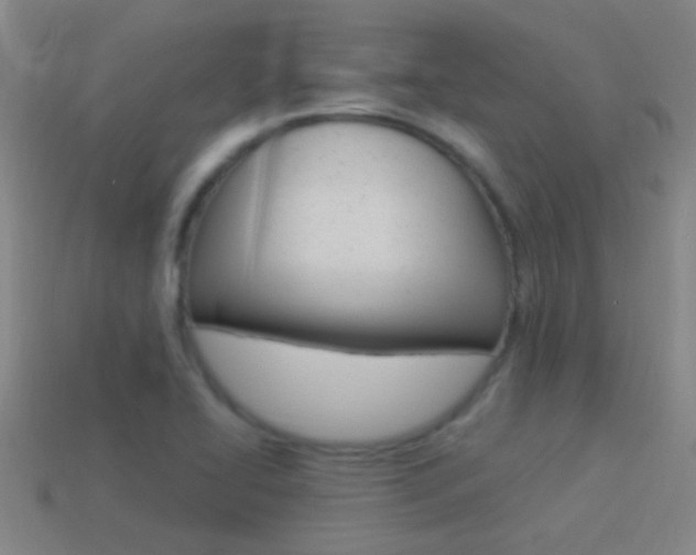 X0000114521414200910190940