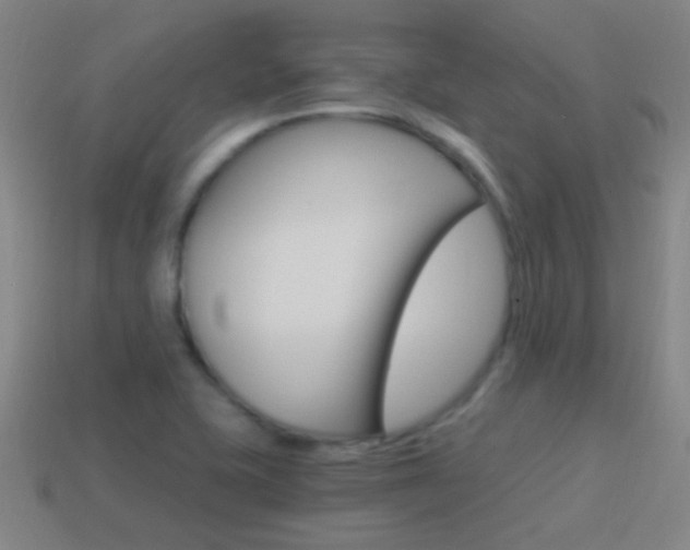 X0000114521415200910190940