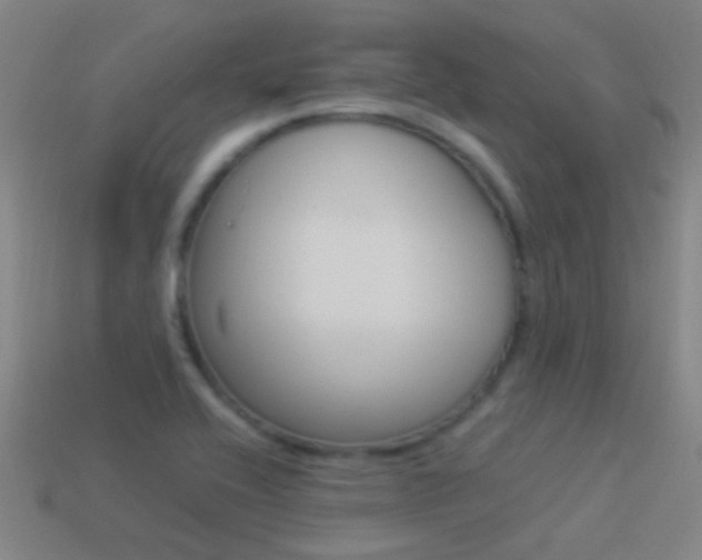 X0000114521416200910190940