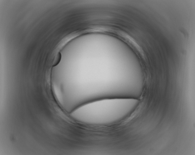 X0000114521417200910190940